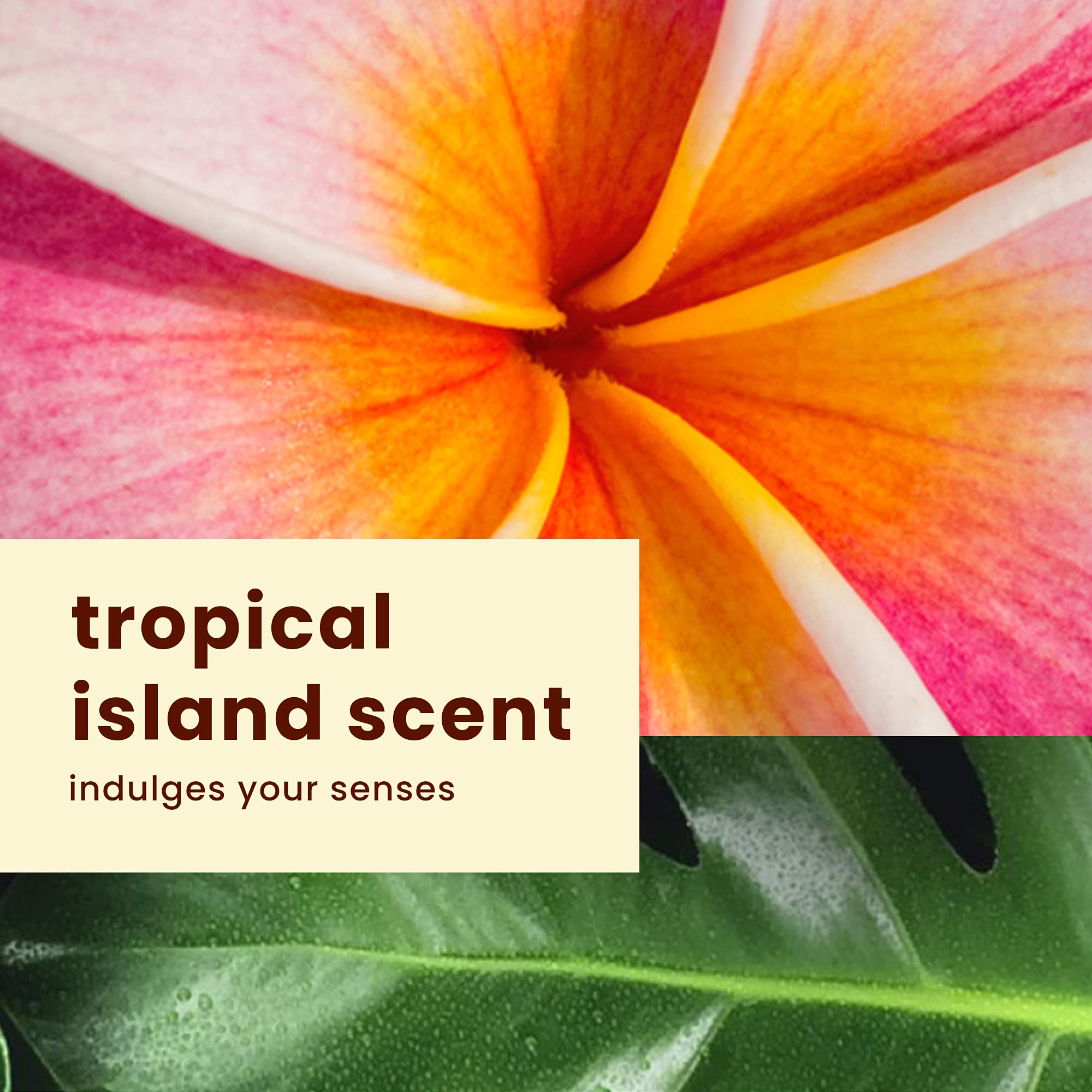 Hawaiian Tropic Sheer Touch Lotion Sunscreen SPF 70, 8 Fl Oz | Broad Spectrum, Oxybenzone Free, Sunblock Lotion, Hawaiian Tropic Sunscreen SPF 70, 8 Fl Oz
