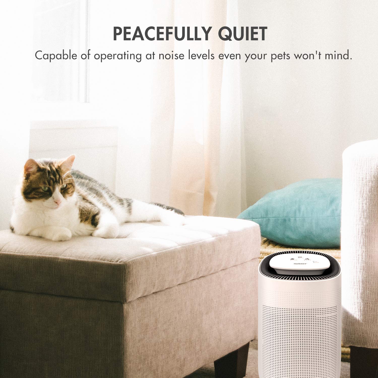 Tenergy Sorbi 1000ml Air Dehumidifier w/Purifying Function, True HEPA Filter, Auto Shutoff, Touch Control Adjustable Air Speed, Ultra-Quiet, Ideal for Closets & Bathrooms